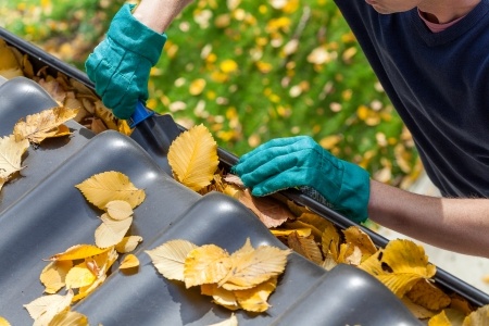 Operative clearing autumn leaves from blocked gutters